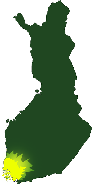 arboristi, puunkaato, hoitoleikkaus, turku, kaarina, naantali, raisio